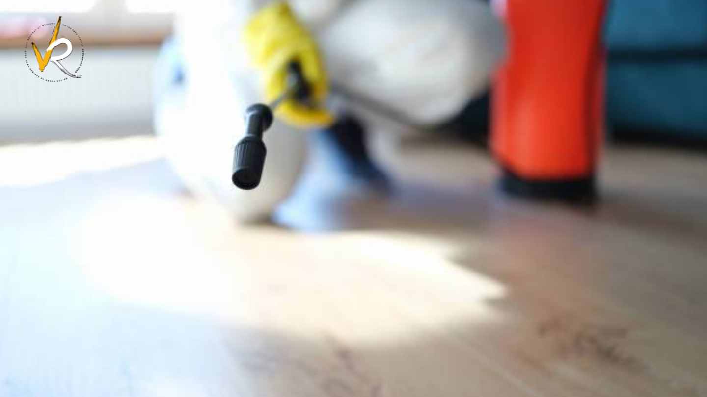 Common mold growth areas addressed during mold remediation Vancouver