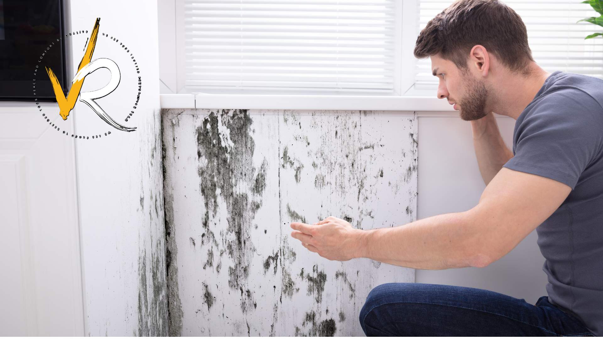 How to Fix Mold: A Complete Mold Remediation Guide for Vancouver & BC Homes