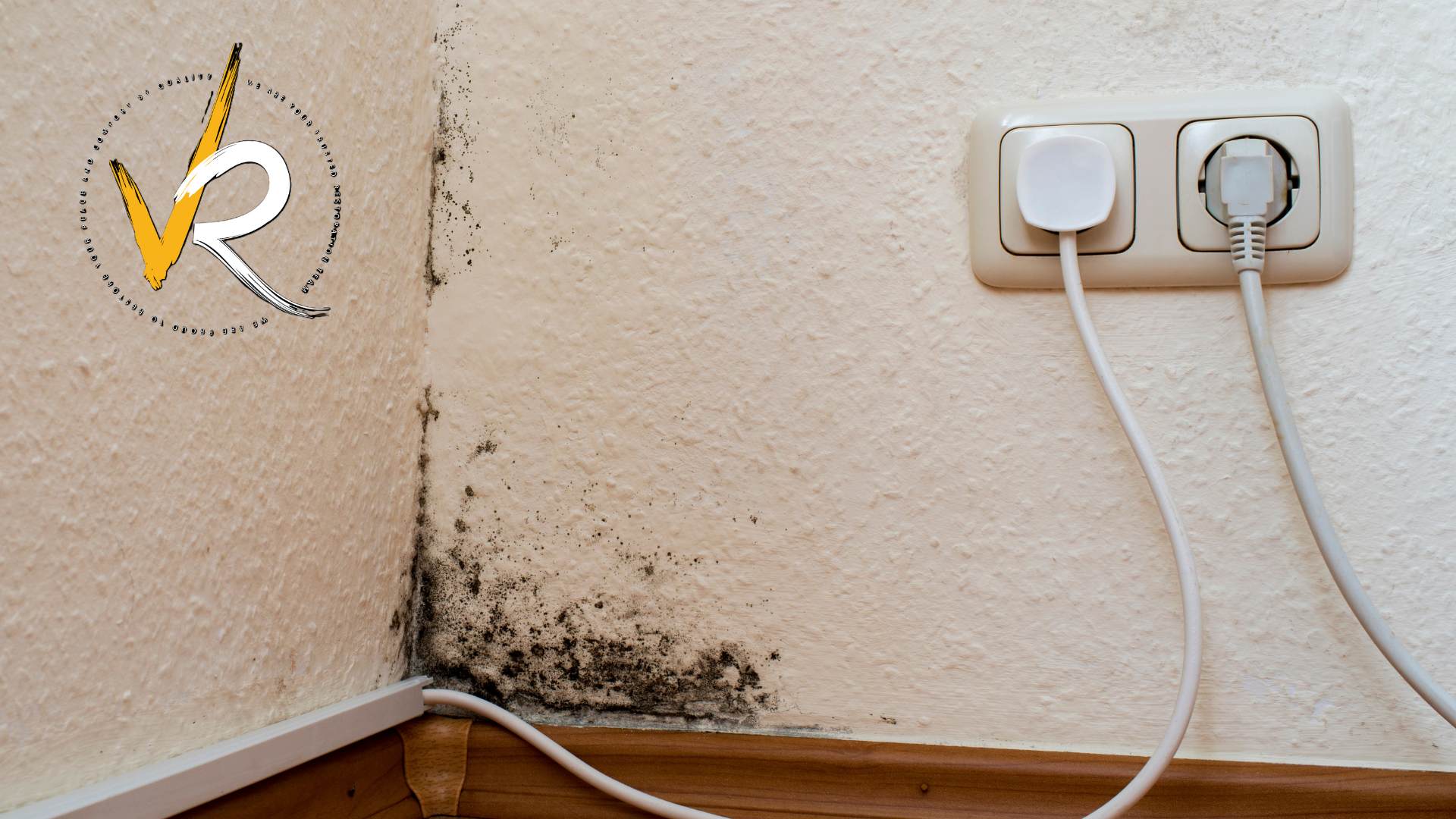Black Mold Dangers: Health Risks Every BC Homeowner Should Know