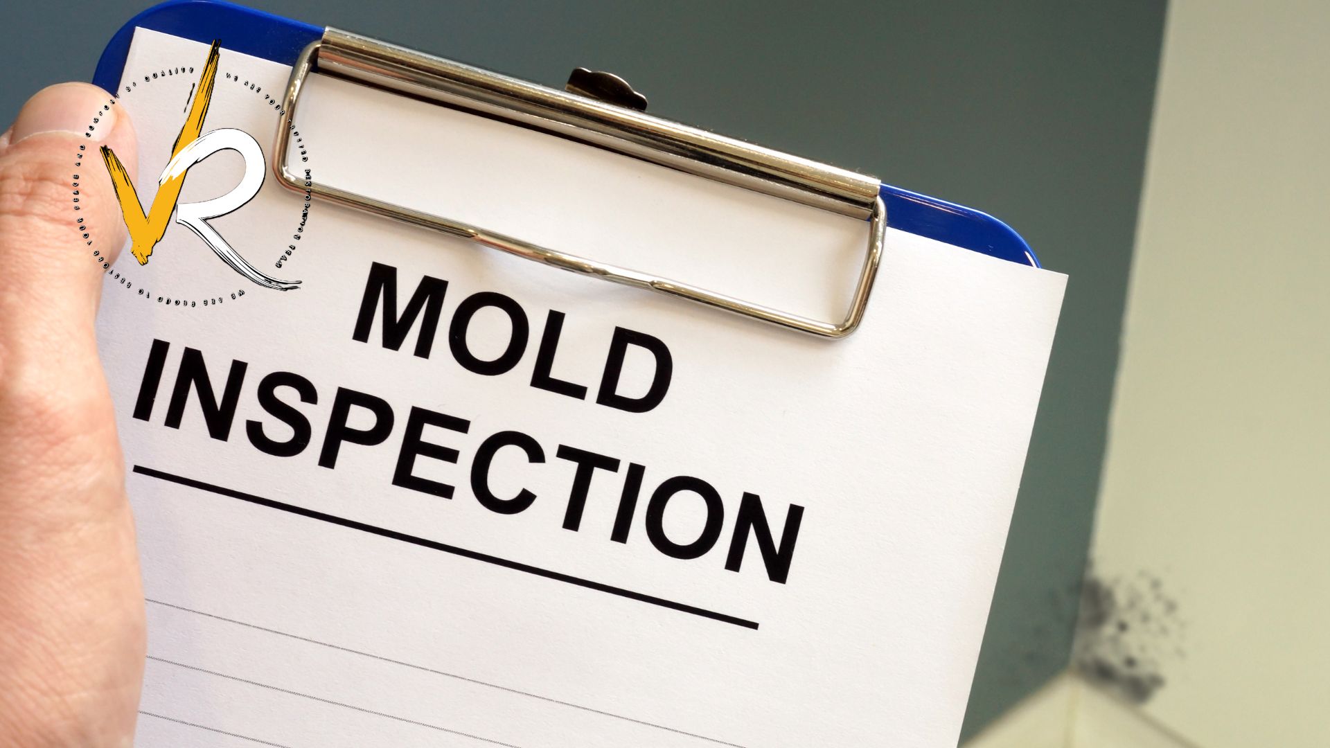 What BC Homeowners Need to Know About Mold Coverage in Their Insurance Policy