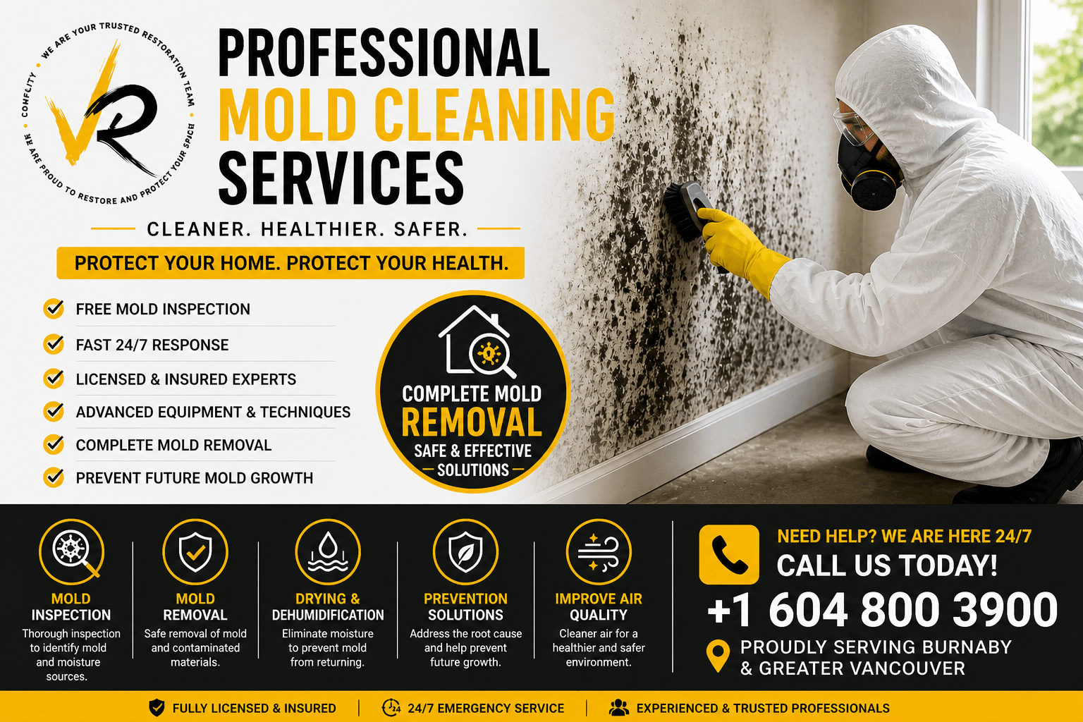 Mold Cleaning Services Near You Fast, Professional & Affordable