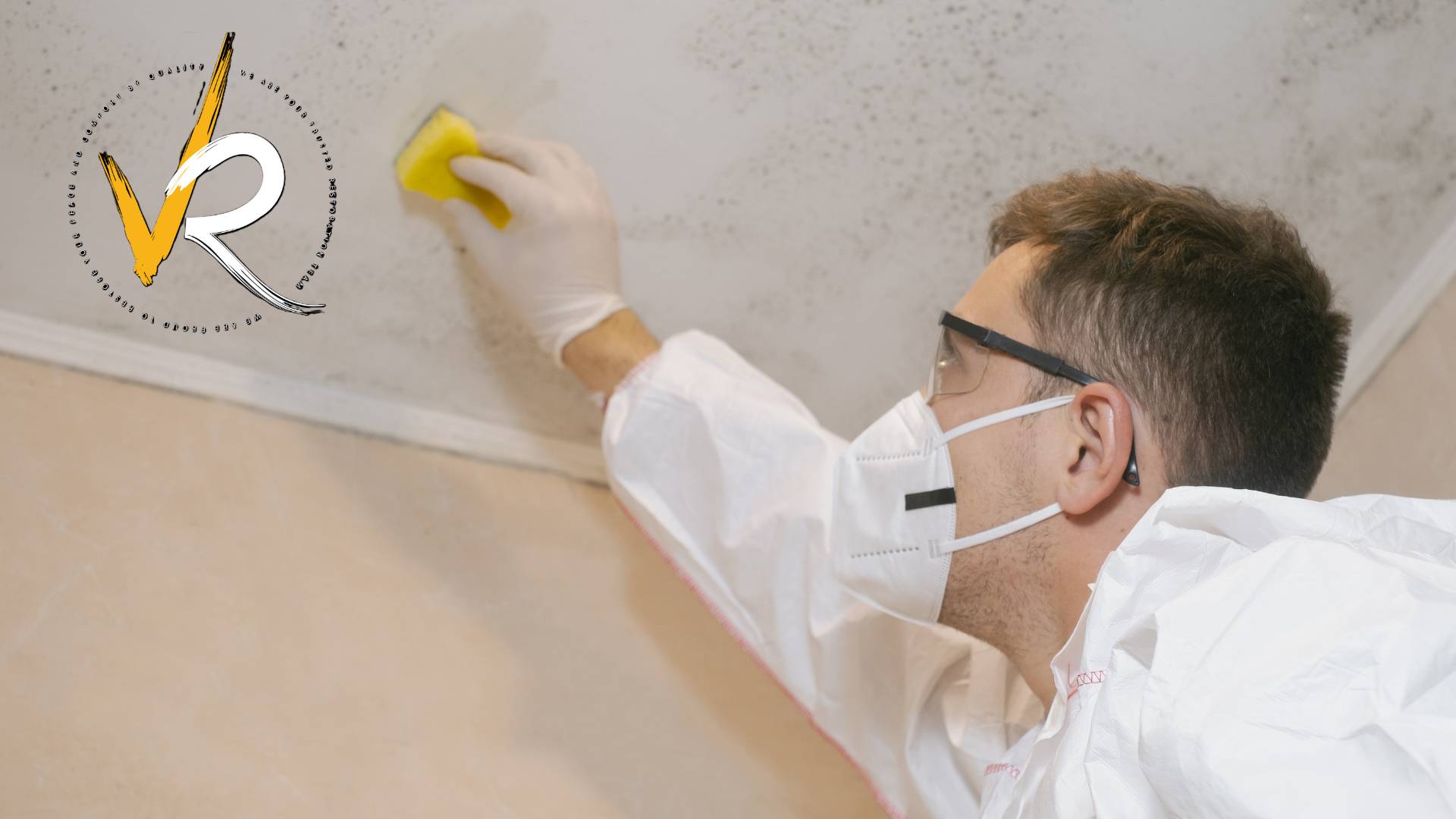 Mold Removal & Mold Remediation Services in North Vancouver