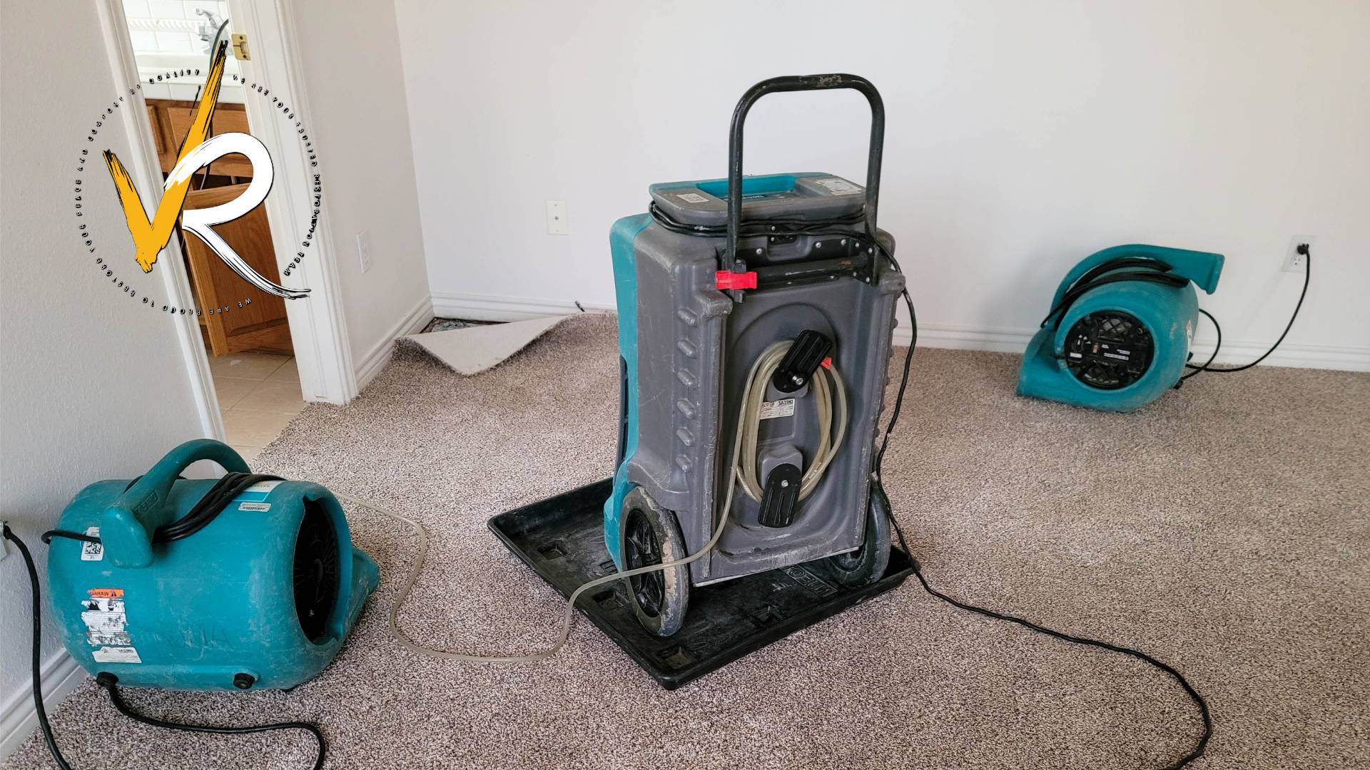 Coquitlam Water Damage: Costs & Urgent Repairs 24/7