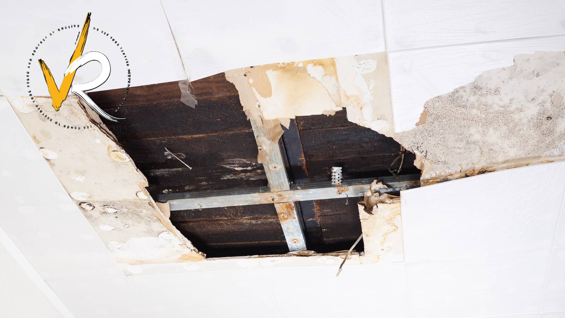 Best Wall and Ceiling Materials for Water Damage Prevention in Canada Homes