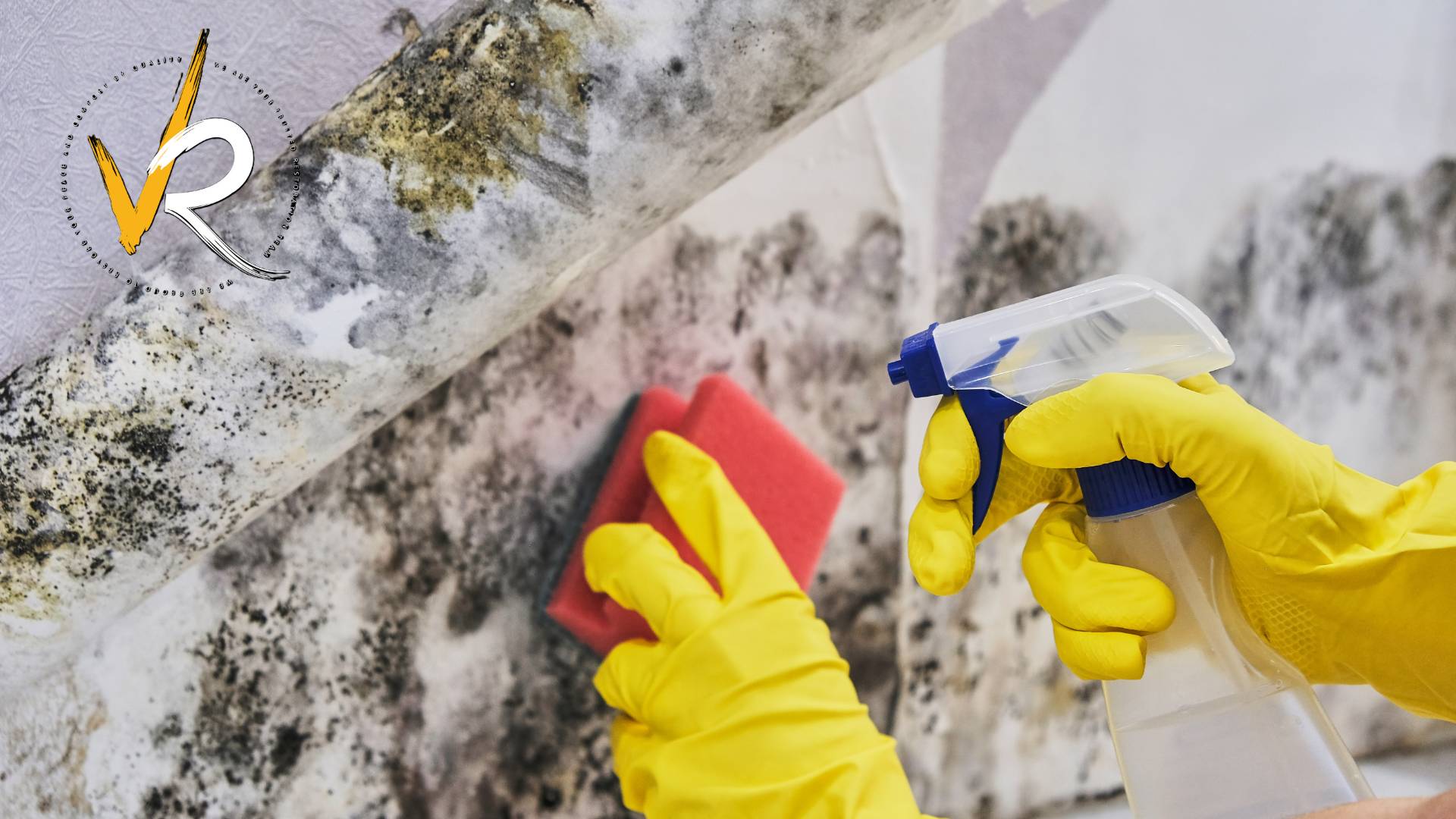 10 Warning Signs of Mold Toxicity in canada