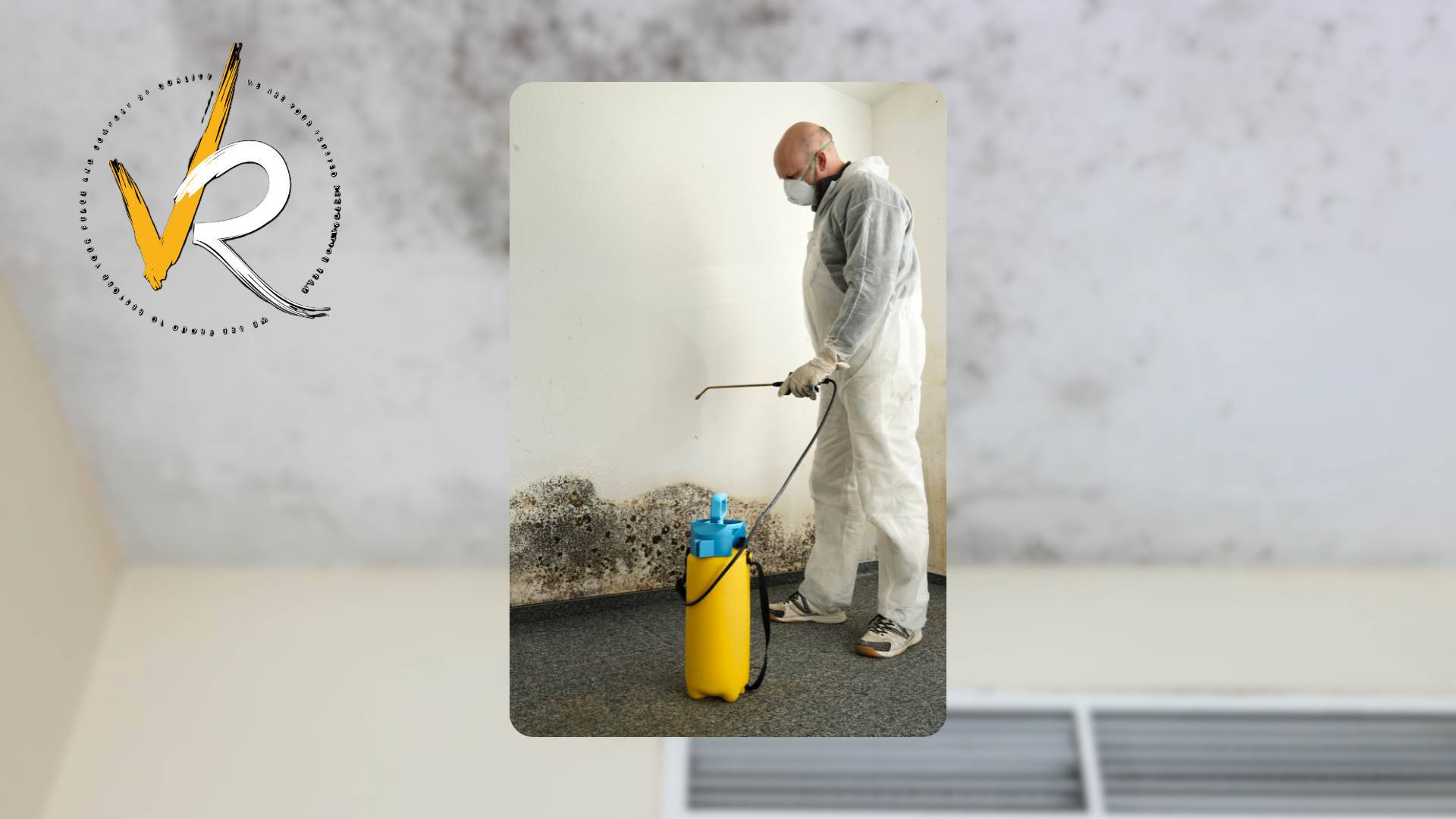 Black Mold Removal in Vancouver Homes: Safe Cleanup and Insurance Help
