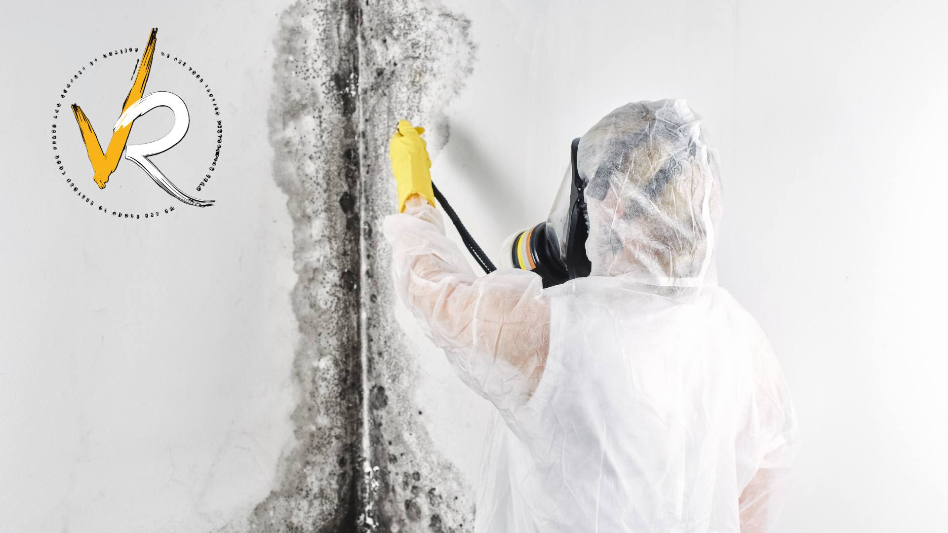 How To Remove Mold Yourself Step By Step Guide For Homeowners