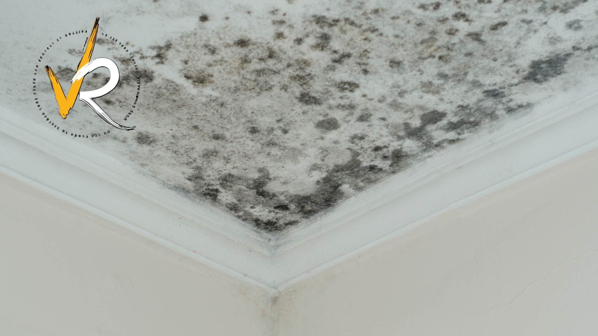 Can Mold Come Back After Remediation
