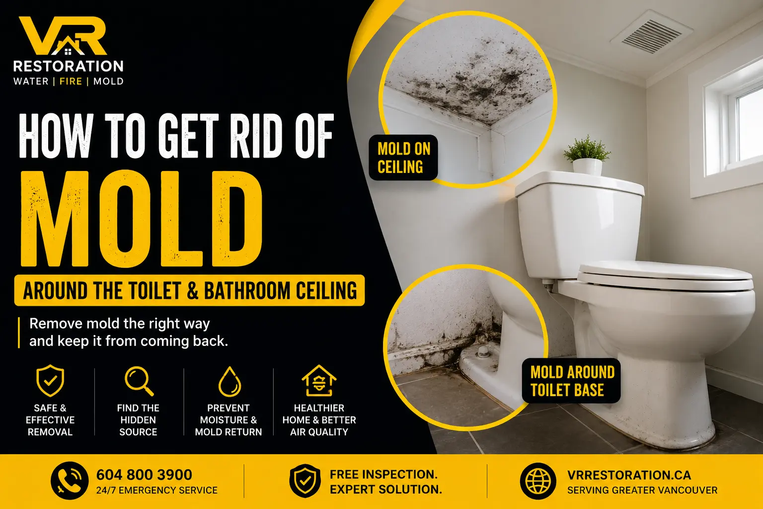 How to Get Rid of Mold Around the Toilet and Bathroom Ceiling