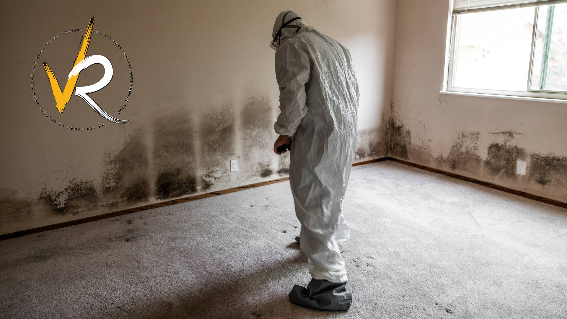 Does Home Insurance Cover Mold Removal in Canada? (2025 Update)