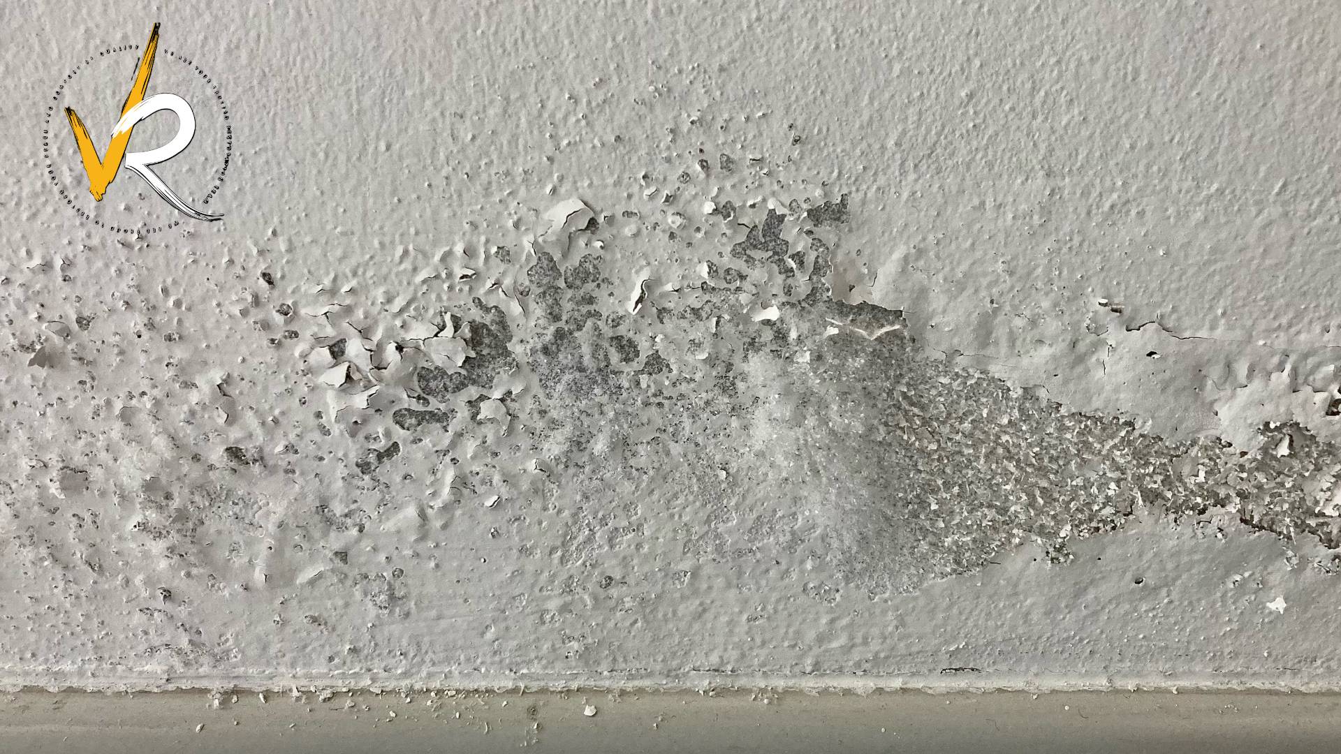 What to Do If You Have Water Damage in Your Walls