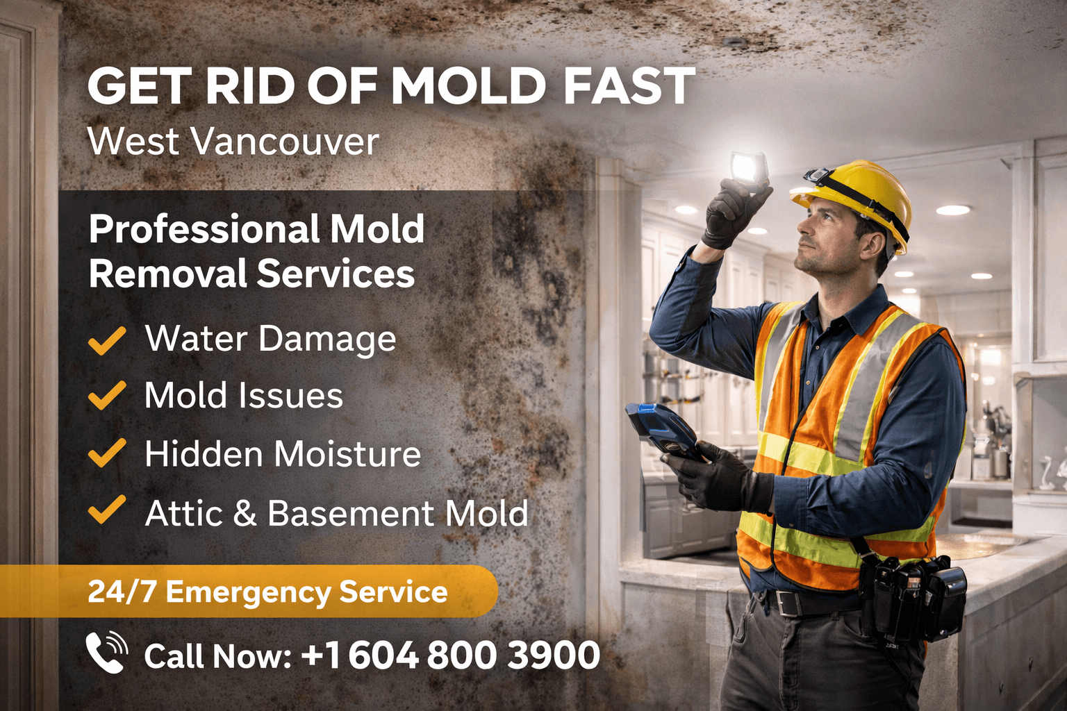 Get Rid of Mould West Vancouver | Fast & Affordable