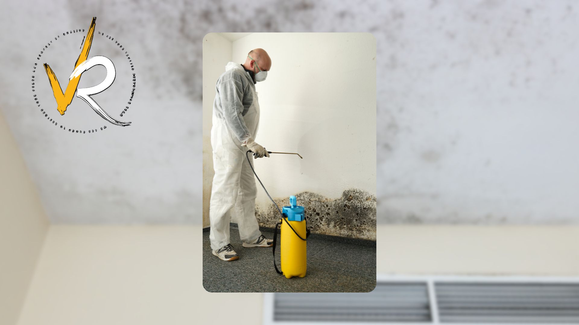 How to Get Rid of Mold at Home Safely and For Good