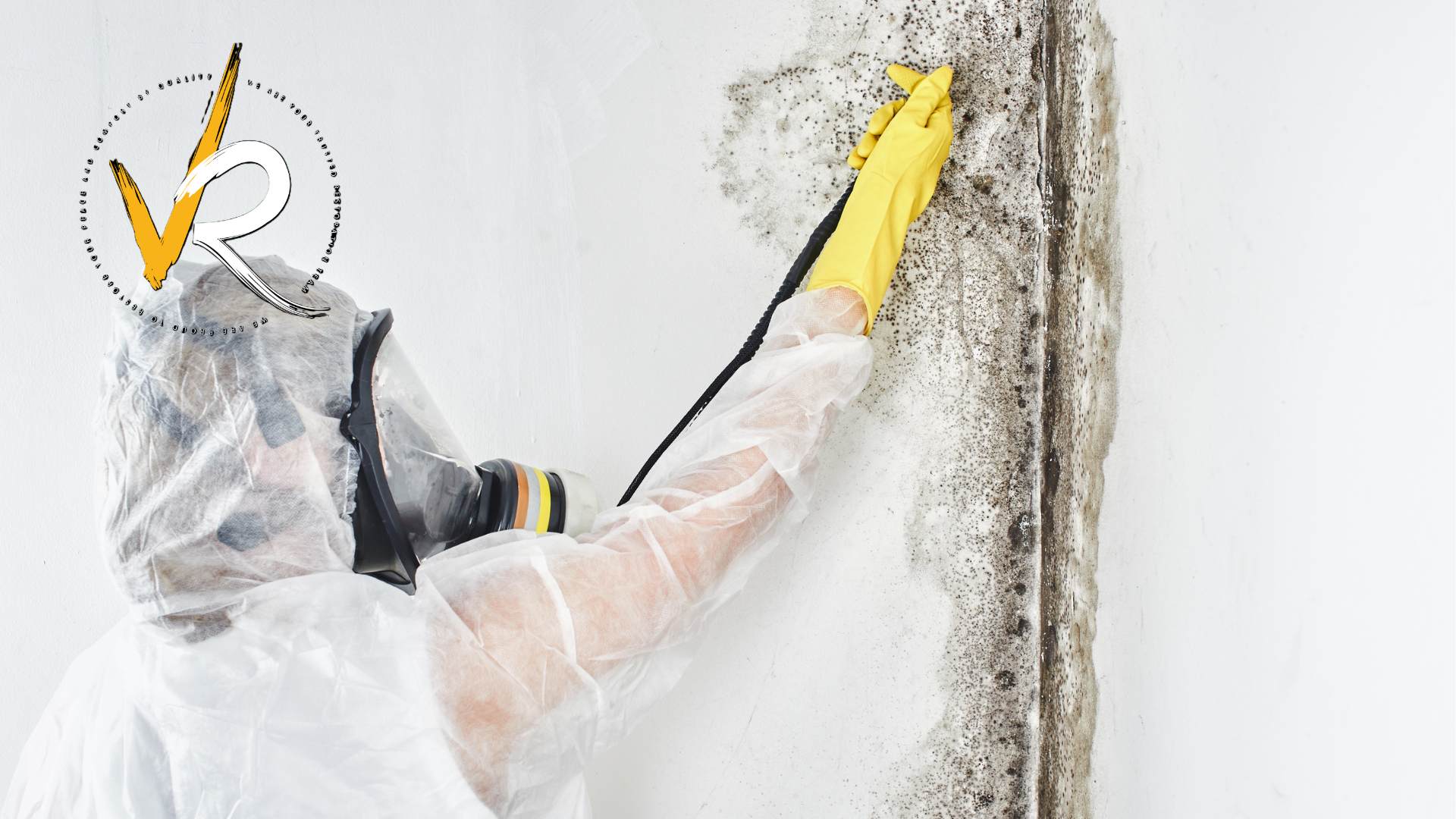 Mold Removal Insurance in Canada: Coverage, Costs & Responsibilities