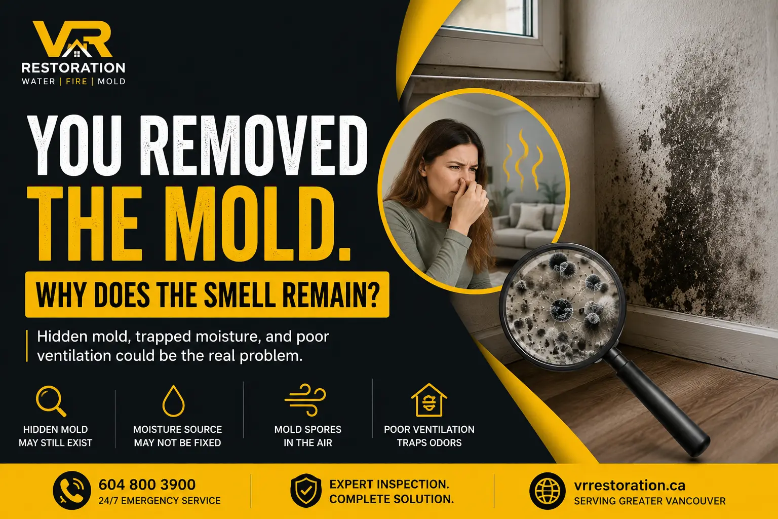 You Removed the Mold. Why Does the Smell Remain?
