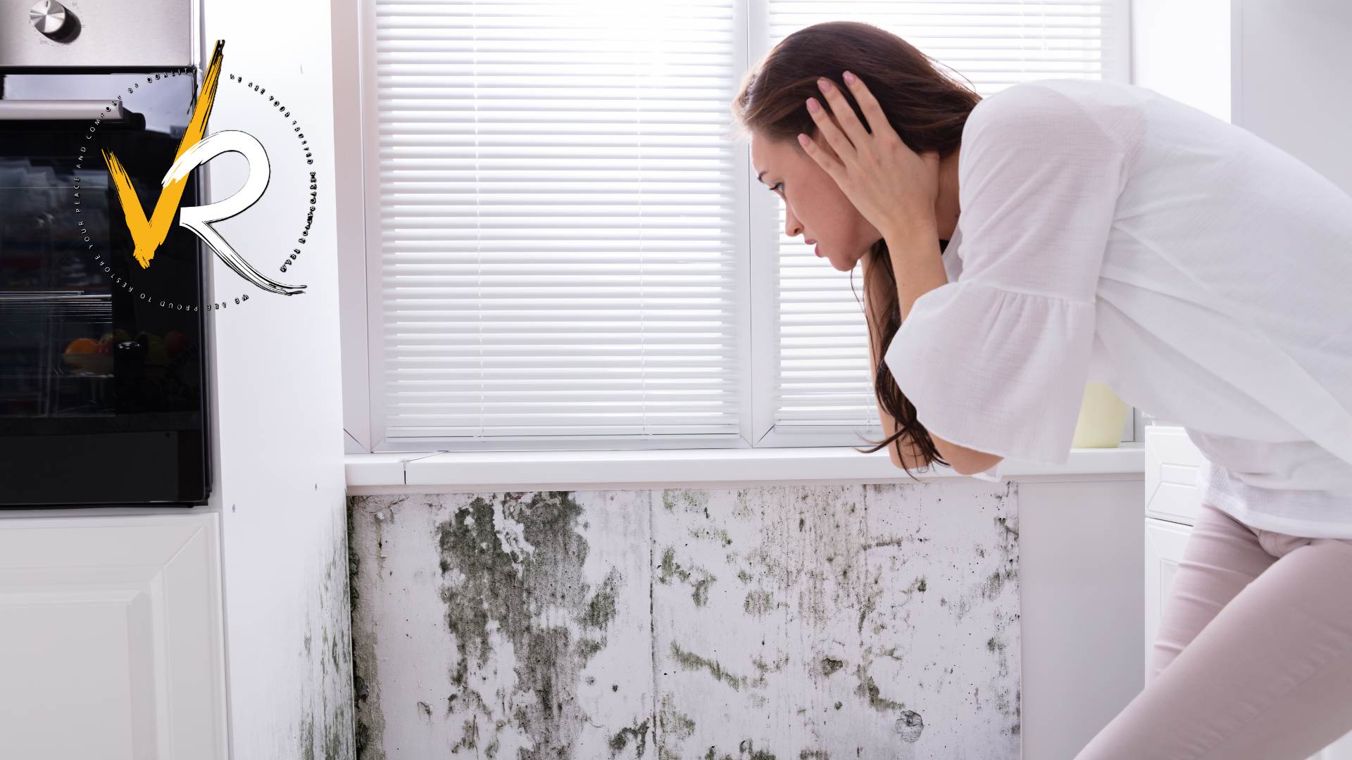 Mold Remediation West Vancouver | Mold Removal, Attic Mold Cleaning, Residential & Commercial